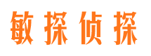 沙湾市私家侦探